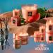 Voluspa Kalahari Watermelon Candle - 5.5 oz Clean Burning Coconut Wax 50 Hour Burn Time All Natural Wicks | Buy Internationally - Buy Online on SooperMarket.com