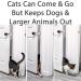 FlexLatch Cat Door Holder Latch - Bright White Alternative for Cats. Easy Install, Keeps Dogs Out. Baby Proof Design for Safety - Buy Online on SooperMarket.com