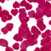 Gift Republic Heart Bath Confetti Red 40g GR650013 - Buy Online on SooperMarket.com