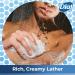 Dial Body Wash 16 Fl Oz Pack of 6 - Pamper & Indulge with Silk & Seaberry - Buy Online on SooperMarket.com