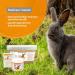 Alfavet Rodicare Instant P ppelfutter for Dwarf Rabbits Guinea Pigs & Small Rodents 170g Herbal Feed for Weakened Appetite - Buy Online on SooperMarket.com