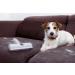 Pet Elephant Pet Hair Remover & Lint Roller for Dogs and Cats | Self-Cleaning Brush | Pet Supplies - Buy Online on SooperMarket.com