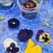 Edible Dried 'Enchanted' Flower Petal Cake Decorating Gift Set- 6 x 120ml Jars In Beautiful Presentation Box - Violas Pansies Cornflower Alyssum Pea Shoot Tendrils Nasturtium Leaves (464) - Buy Online on SooperMarket.com