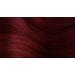 Herbatint | Hair Dye FF1 Henna Red - Buy Online on SooperMarket.com