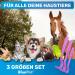 Bluepet 3 Set Tick Hooks for Dogs Cats Horses & Humans - Proven Tick Remover Alternative to Tweezers - Pink Tick Protection & Agent - Buy Online on SooperMarket.com