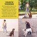 Buy Vitazoo 3m Dog Leash - Adjustable Nylon Graphite Leash with Carabiners for All Dog Sizes - Reflective Black Guide Leash - Buy Online on SooperMarket.com