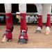 Professional's Choice 2XCOOL Sport Medical Boots - 4-Pack Medium Crimson | International Shipping Available - Buy Online on SooperMarket.com