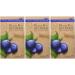 Sticky Fingers Bakeries Gluten Free Scone Mix Wild Blueberry 14oz - Pack of 3 - Buy Online on SooperMarket.com