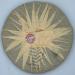 Pu-erh tea 2007 Chinese tea color badge 357g Raw - Buy Online on SooperMarket.com