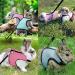 Adjustable Rabbit Dishes & Leash Set for Small Animals 2 Pieces in Blue & Pink | Perfect for Rabbits Hares Hamsters & Cats | Outdoor Use - Buy Online on SooperMarket.com