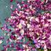 Edible 'Enchanted Forest' Pink Red and Burgundy Rose with Blue Cornflower Dried Flower Petal Mix - 50g - Food Grade - Culinary - Cake - Bake - Decoration (184) Cornflower 50g - Buy Online on SooperMarket.com