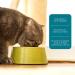 Rachael Ray Nutrish Salmon & Brown Rice Dry Cat Food 3lb - Premium Natural Formula - Buy Online on SooperMarket.com