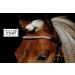 Buy Tysons Breeches Bridle in Rose Gold | Mini Shetty Riding Bridle with Leather Glitter Rhinestones + Reins - International Shipping Available - Buy Online on SooperMarket.com