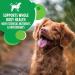 IAMS Proactive Health Minichunks Dog Food Dry Adult Chicken & Whole Grains Recipe + IAMS Proactive Health Healthy Weight Dog Food Dry Adult Chicken 6.8 kg (Pack of 1) Adult - Mini Chunks + Dry Dog Food - Buy Online on SooperMarket.com