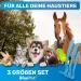Buy Bluepet 3 Set Tick Hooks - Effective Tick Remover for Dogs Cats Horses & Humans | Alternative to Tick Tweezers | Includes Tick Lever & Bag - Buy Online on SooperMarket.com