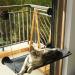 Cat Window Hammock Perch Bed for Large Cats | Upgraded Suction Cups | Black - Buy Online on SooperMarket.com