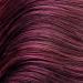 Leganza Dark Morello Cherry N 51 Hair Coloring Conditioner 150ml - Ammonia, PPD, and Paraben Free | Enriched with 7 Natural Oils - Buy Online on SooperMarket.com