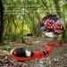 Smart Sensing Snake Cat Toy | Rechargeable & Realistic S-Shaped Moving Toy for Cats | Escape obstacles, Electro-Sensing Technology | Red - Buy Online on SooperMarket.com