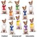 ASSISTANCE DOG Colour Coded Non-Pull Front and Back D Ring Padded and Waterproof Vest Dog Harness PREVENTS Accidents By Warning Others Of Your Dog In Advance (L) Large Harness - Buy Online on SooperMarket.com