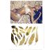 Terra Tattoos Gold Metallic Temporary Tats - 75+ Boho Henna Designs with Feathers, Tribal Elephants - Waterproof, Nontoxic, Long Lasting - Ideal for Beach, Festivals & More! - Buy Online on SooperMarket.com
