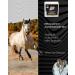 HOOFGOLD Hornpad for Horses - 10 Pads for Effective Thrush and Frog Care | International Shipping - Buy Online on SooperMarket.com
