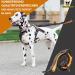 Premium Elastic-Free Jogging Leash for Large Dogs | 120-170 cm Adjustable | Orange | Comfortable Belly Belt & Removable Soft Loops - Buy Online on SooperMarket.com