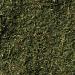 McCormick Organic Dill Weed 0.5 oz - Premium Quality Culinary Herb - Buy Online on SooperMarket.com