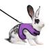 Niteangel Adjustable Soft Harness with Elastic Leash for Rabbit (L Purple) L Purple