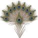 10pcs Multicolored Natural Peacock Feathers for DIY Crafts and Easter Decoration - 10-12 inch - Buy Online on SooperMarket.com