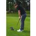 PuttOut Putting Mirror Trainer & Alignment Gate - Red/Gray - Buy Online on SooperMarket.com