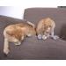 SmartyKat Skitter Critters Catnip Cat Toys - Gray/Cream (3 Count) | Pack of 1 - Buy Online on SooperMarket.com