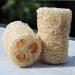 Organic Loofa Bath Sponge Set - 2 Exfoliating Scrubbers | Naturally Grown Loofah - HealthGoodsIn - Buy Online on SooperMarket.com