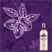 Aussie Miracle Hair Insurance Detangler Spray 250ml - Smooth & Tangle-Free Hair - Buy Online on SooperMarket.com