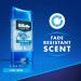 Gillette Endurance Antiperspirant / Deodorant Cool Wave Clear Gel 3.8 Ounce (Pack of 2) Packaging may Vary Cool Wave 3.8 Ounce (Pack of 2) - Buy Online on SooperMarket.com