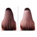 Difeel Rosemary and Mint Premium Hair Oil with Biotin 8 oz. - Natural Hair Growth Treatment - Buy Online on SooperMarket.com