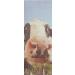 FarmHouse Fresh Sweet Cream Body Milk 10 Fl Oz - Nourishing Body Lotion - Buy Online on SooperMarket.com