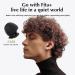 Fita+ Noise Cancelling Ear Plugs - NRR 33 dB, Reusable Silicone Earplugs for Sleeping, Concerts, Motorcycle, Travel - Black - Buy Online on SooperMarket.com