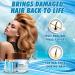 Biotin Hair Mask with Keratin, Collagen, and Argan Oil - Deep Conditioning Treatment for Dry, Damaged Hair - Hydrating Growth Mask for Split Ends - Buy Online on SooperMarket.com