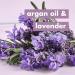 Love Beauty and Planet Argan Oil & Lavender Dry Hair Conditioner - Frizz Control - 32.3 oz - Buy Online on SooperMarket.com