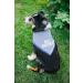 Blue Big Brother Dog Bandana for Pregnancy Announcement - Pet Photo Prop & Handkerchief for Medium to Large Dogs - Buy Online on SooperMarket.com