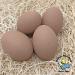 Cackle Hatchery Ceramic Nest Eggs - Set of 4 Brown - Dummy Eggs for Chicken Coop - Buy Online on SooperMarket.com