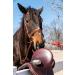 Bickmore Saddle Soap Plus - 6.5oz Leather Cleaner & Conditioner with Lanolin - Restore & Protect Your Leather - Buy Online on SooperMarket.com