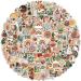ANERZA 200 PCS Aesthetic Boho Stickers Cute Vinyl Waterproof Stickers for Water Bottles Laptop Phone Journaling Scrapbook Junk Journal Small Business Supplies Plant Sticker Packs for Adults Teens