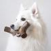 Benebone Maplestick/Bacon Stick Dog Chew Toy - Durable, Made in USA, Real Bacon Flavor (Medium) - Buy Online on SooperMarket.com