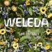 Weleda Baby Body Cream Calendula 2.5 fl oz - Gentle Moisturizer for Delicate Skin - Buy Online on SooperMarket.com