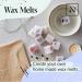 Sandalwood & Vanilla Fragrance Oil - 10ml | For Gifts, Diffusers, Candle Making, Soap Making | Ideal for Bath Bombs, Perfume Scents | Vegan, UK Made - Buy Online on SooperMarket.com