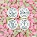 Smart Sweets Low Sugar Sourmelon Bites Candy Fruity Free of Sugar Alcohols & No Artificial Sweeteners Sweetened with Stevia Natural Fruit Flavors 12x50g (Box of 12) - Buy Online on SooperMarket.com