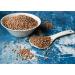 Organic Whole Red Lentils  3 Pounds  Non-GMO  Dry Raw Lentils  Sproutable  Vegan  Kosher  Bulk. Easy to Cook. Good Source of Folate  Fiber  and Protein. Perfect for Lentil Soup  Stews  and Curry. - Buy Online on SooperMarket.com