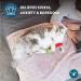 OurPets 100% North American Catnip Filled Cat Toys - Interactive Cat Toy for Indoor Cats & Kittens - Chew Toy & Catnip Toys for Cats - Great for Catnip Lovers - Hot Stuff! - Buy Online on SooperMarket.com