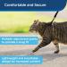 PetSafe Come with Me Kitty Harness & Bungee Leash for Cats Size S Black/Silver & Black/Dark Purple - International Shipping Available - Buy Online on SooperMarket.com